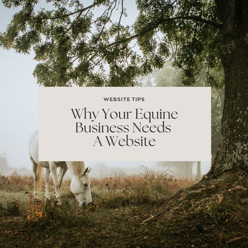 Why Your Equine Business Needs A Website