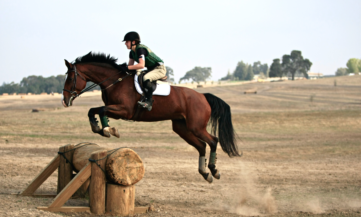 how-to-start-an-online-presence-for-your-equestrian-business