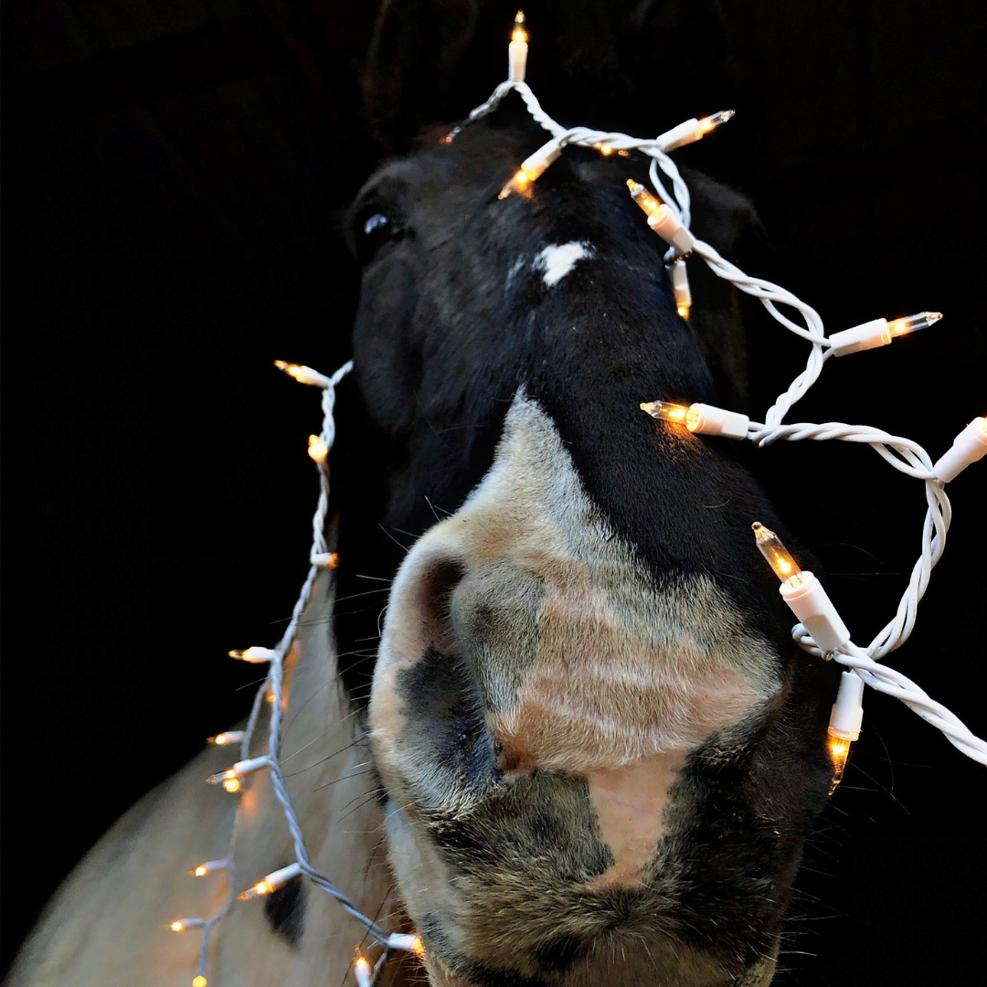 how-to-keep-your-equine-business-on-brand-during-the-holidays