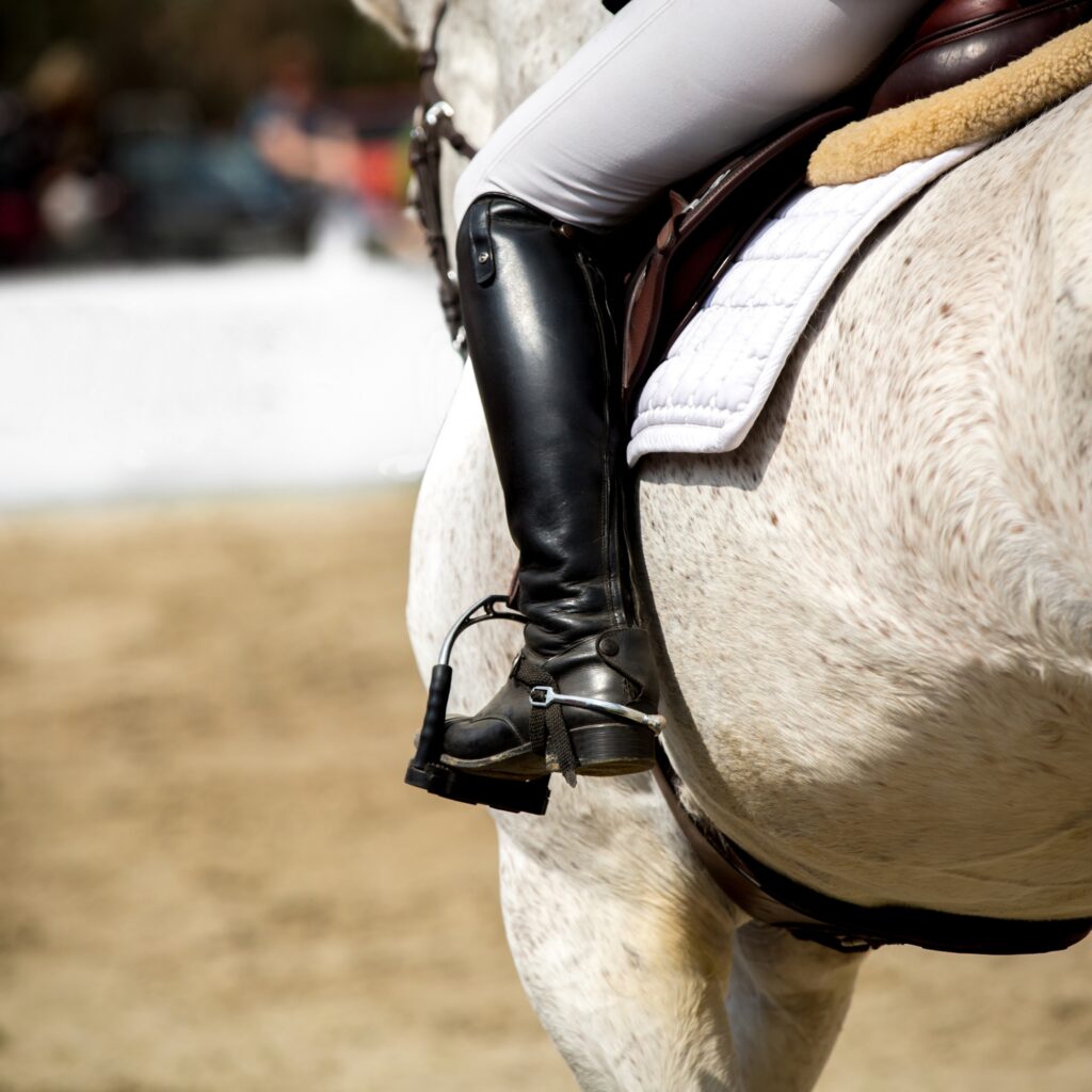 why-your-equine-business-struggled-to-attract-clients