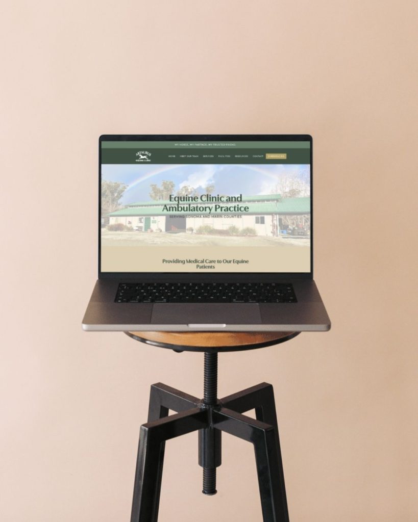 equine-clinic-web-design