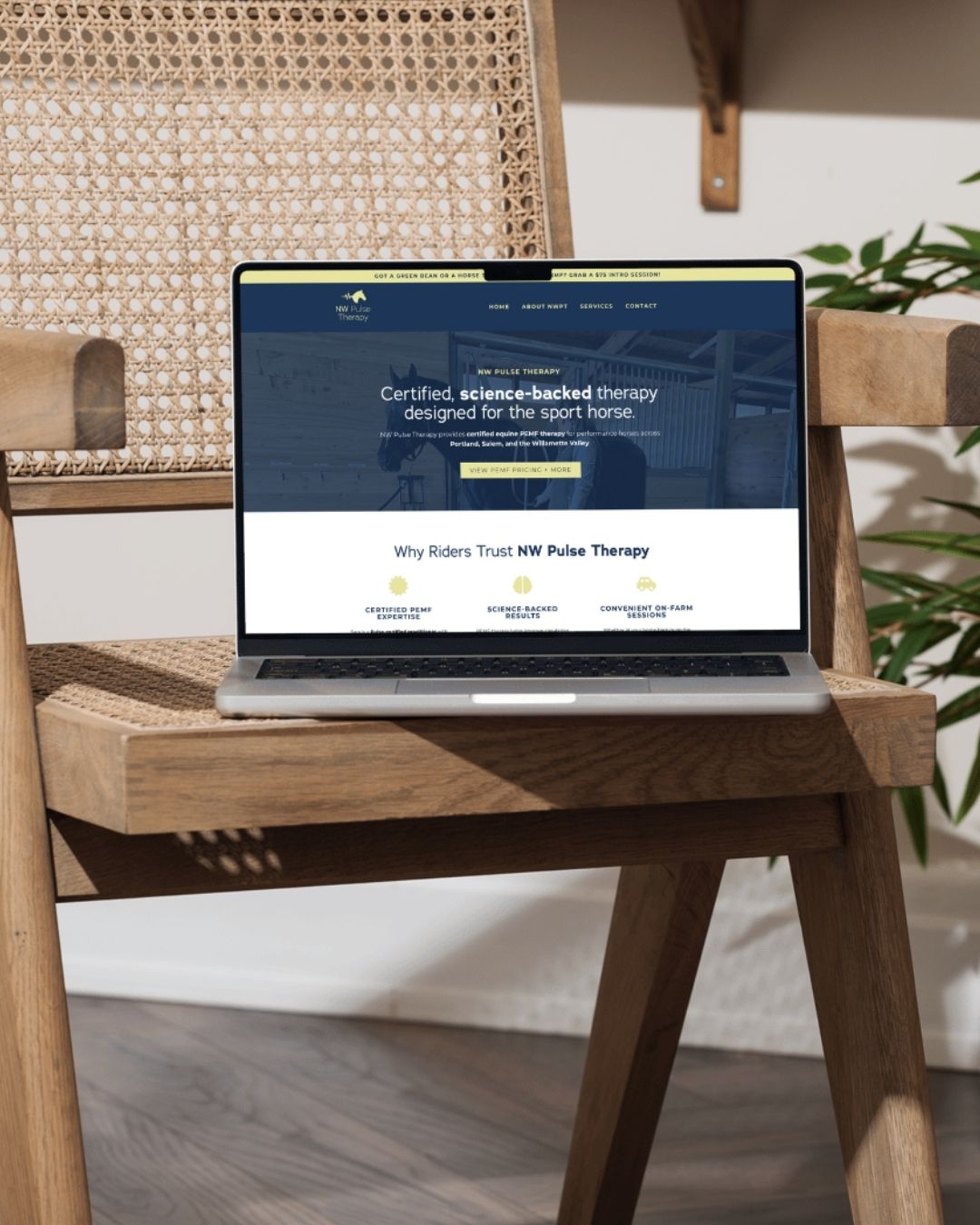 equine-pemf-website-design