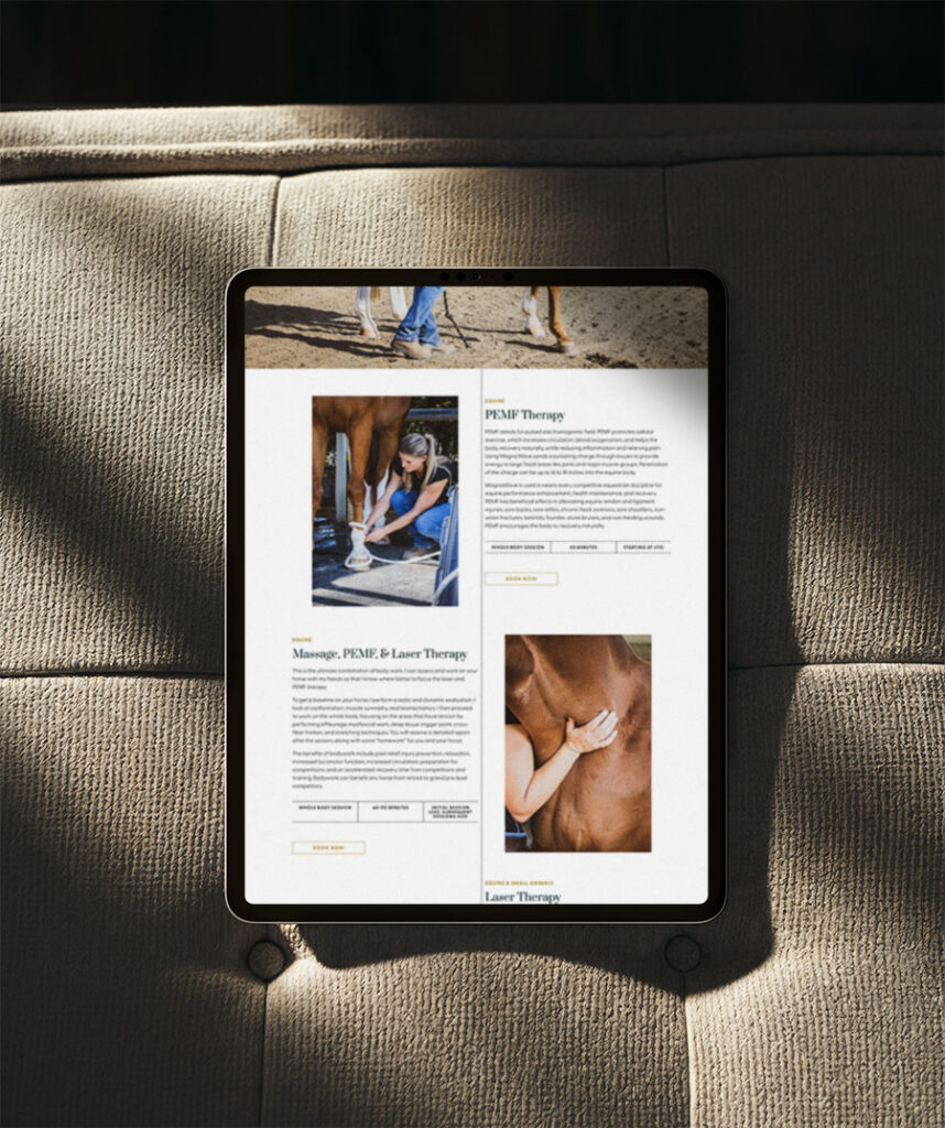 equine-bodyworker-services-page-design