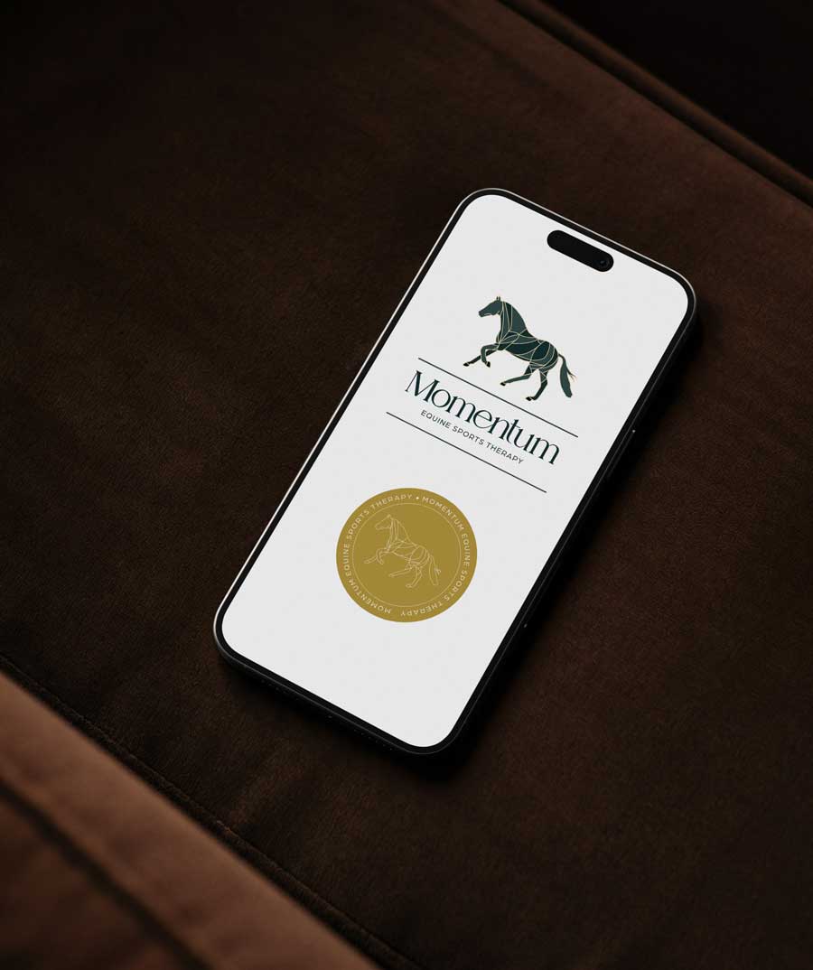 momentum-eq-branding
