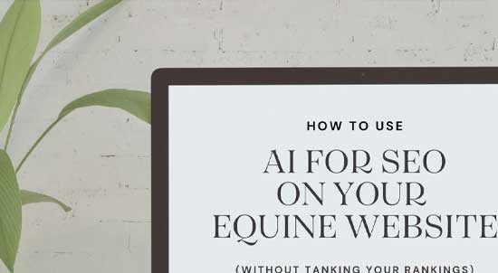 seo-for-equine-businesses