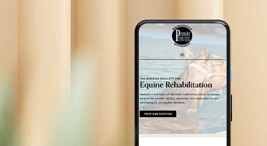 website-tips-for-equine-businesses